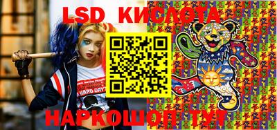 бошки Камышлов